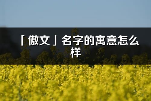 「傲文」名字的寓意怎么样_傲文的出处