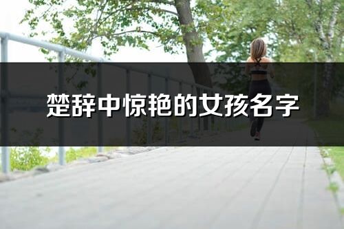 楚辞中惊艳的女孩名字