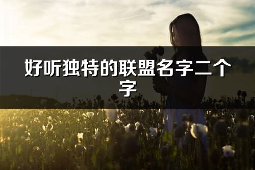 好听独特的联盟名字二个字(优选294个)