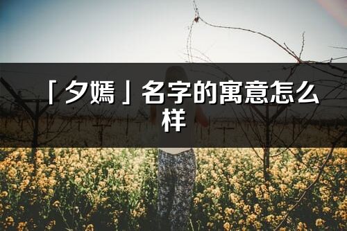 「夕嫣」名字的寓意怎么样_夕嫣的出处