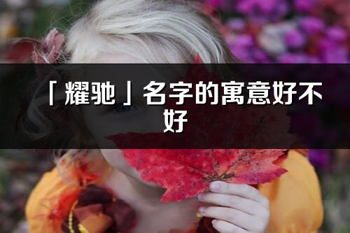 「耀驰」名字的寓意好不好_耀驰含义分析