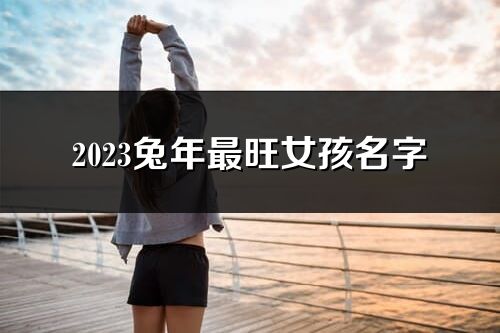 2023兔年最旺女孩名字