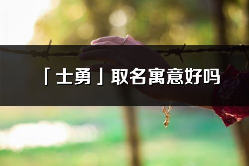 「士勇」取名寓意好吗_士勇名字含义及寓意