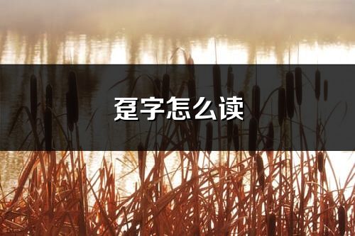 趸字怎么读_趸的读音