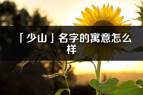 「少山」名字的寓意怎么样_少山的出处