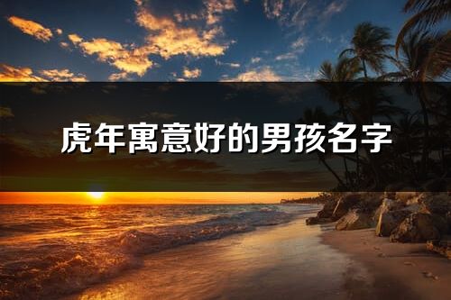 虎年寓意好的男孩名字