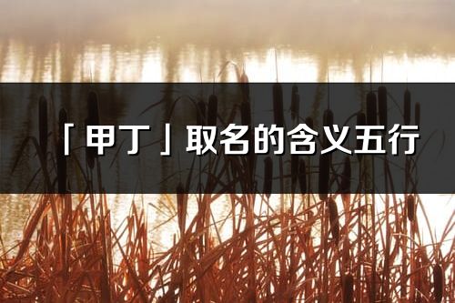 「甲丁」取名的含义五行_甲丁名字寓意解释