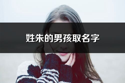 姓朱的男孩取名字