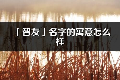 「智友」名字的寓意怎么样_智友的出处