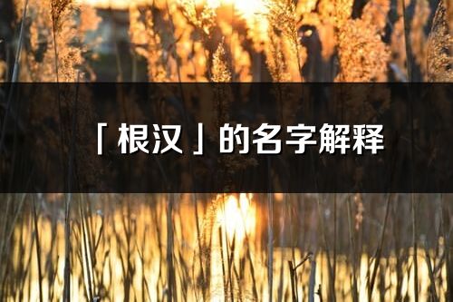 「根汉」的名字解释_根汉含义分析