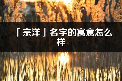 「宗洋」名字的寓意怎么样_宗洋的出处