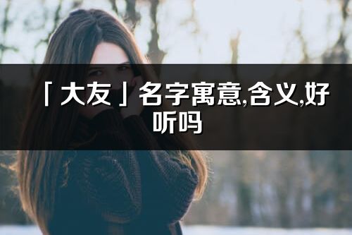 「大友」名字寓意,含义,好听吗_大友名字分析打分