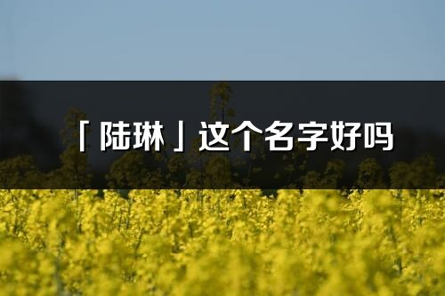 「陆琳」这个名字好吗_陆琳名字寓意,含义