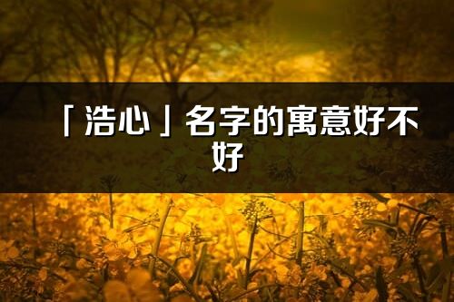 「浩心」名字的寓意好不好_浩心含义分析