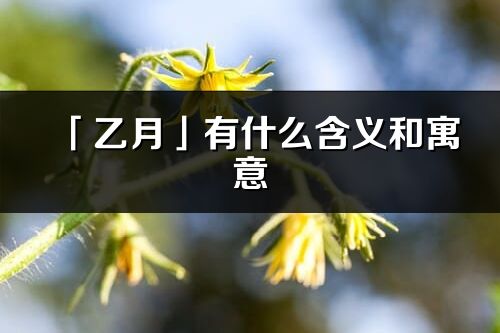 「乙月」有什么含义和寓意_乙月名字的出处与意思