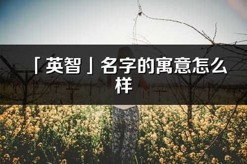 「英智」名字的寓意怎么样_英智的出处