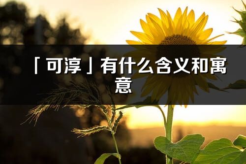 「可淳」有什么含义和寓意_可淳名字的出处与意思