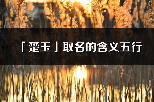 「楚玉」取名的含义五行_楚玉名字寓意解释