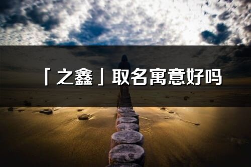 「之鑫」取名寓意好吗_之鑫名字含义及五行
