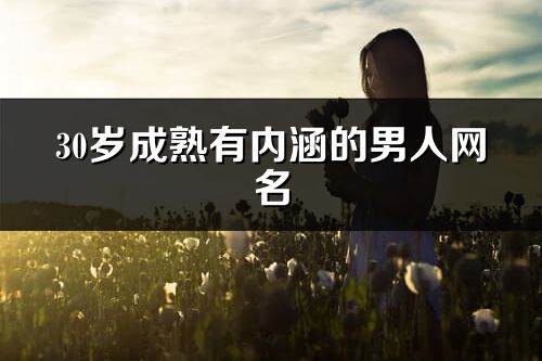 30岁成熟有内涵的男人网名(共350个)