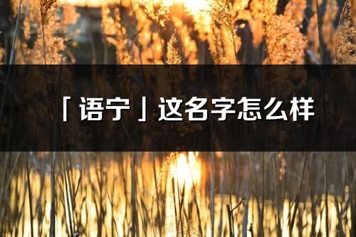 「语宁」这名字怎么样_语宁的名字解释