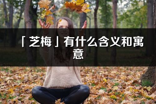 「芝梅」有什么含义和寓意_芝梅名字的出处与意思