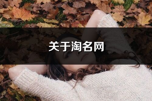 关于淘名网