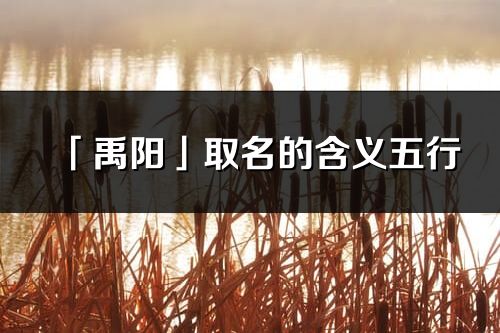 「禹阳」取名的含义五行_禹阳名字寓意解释