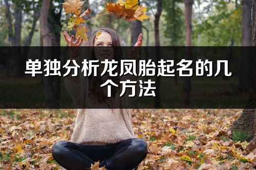 单独分析龙凤胎起名的几个方法