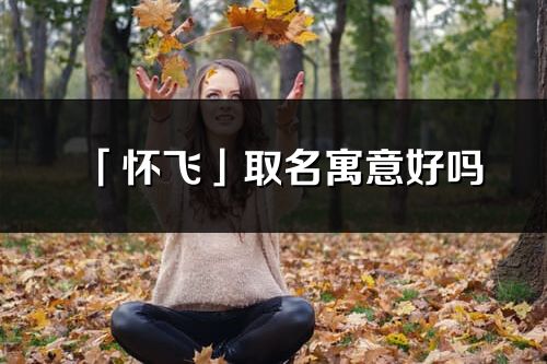 「怀飞」取名寓意好吗_怀飞名字含义及五行