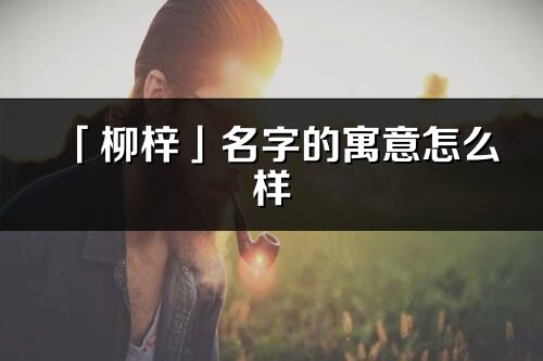 「柳梓」名字的寓意怎么样_柳梓的出处