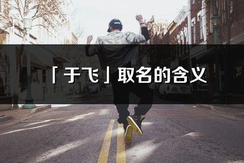 「于飞」取名的含义_于飞名字寓意解释
