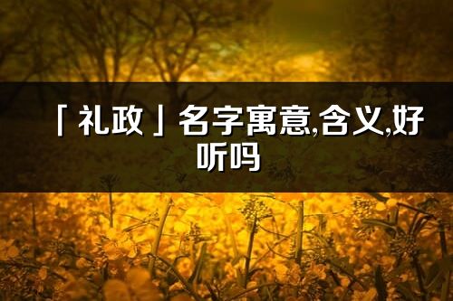 「礼政」名字寓意,含义,好听吗_礼政名字分析打分