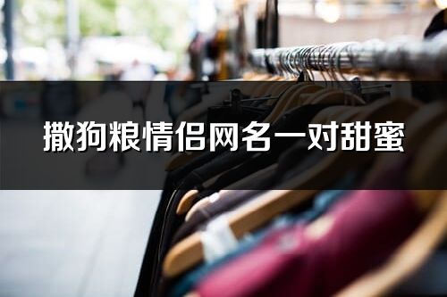 撒狗粮情侣网名一对甜蜜