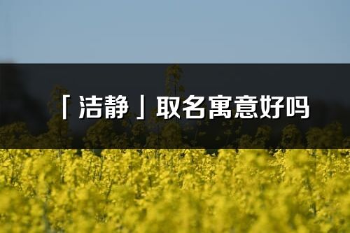 「洁静」取名寓意好吗_洁静名字含义及五行