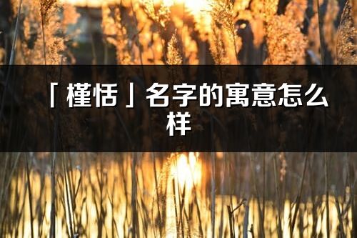 「槿恬」名字的寓意怎么样_槿恬的出处