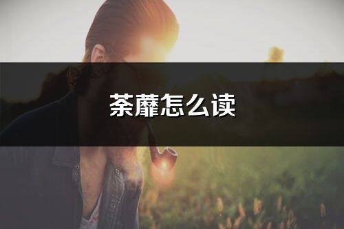荼蘼怎么读_荼蘼的读音