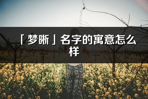 「梦晰」名字的寓意怎么样_梦晰的出处