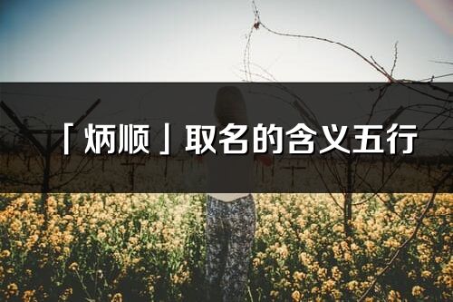「炳顺」取名的含义五行_炳顺名字寓意解释