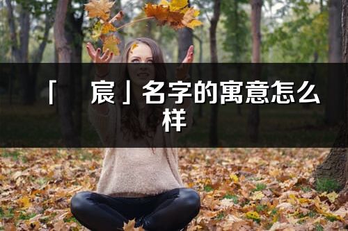 「彧宸」名字的寓意怎么样_彧宸的出处
