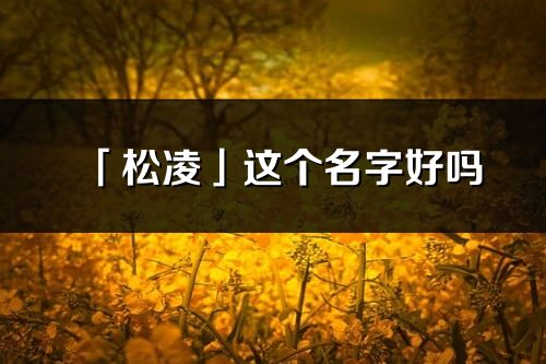 「松凌」这个名字好吗_松凌名字寓意,含义
