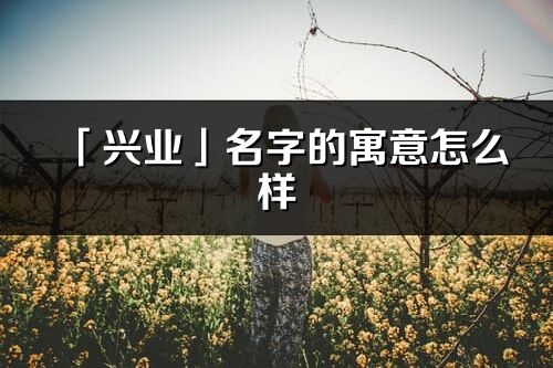 「兴业」名字的寓意怎么样_兴业的出处