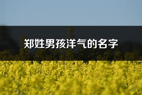 郑姓男孩洋气的名字