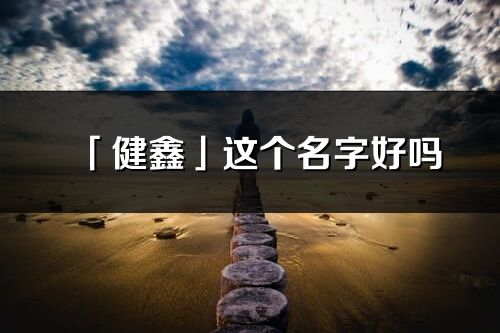 「健鑫」这个名字好吗_健鑫名字寓意,含义