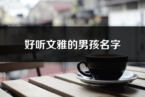 好听文雅的男孩名字