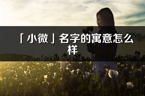 「小微」名字的寓意怎么样_小微的出处