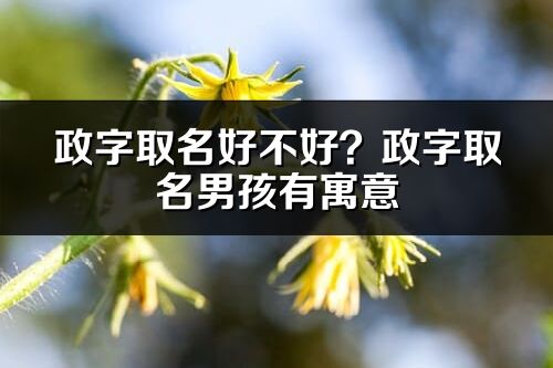 政字取名好不好？政字取名男孩有寓意