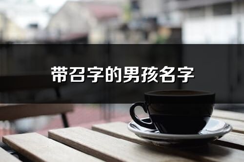 带召字的男孩名字