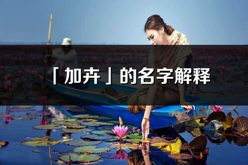 「加卉」的名字解释_加卉含义分析