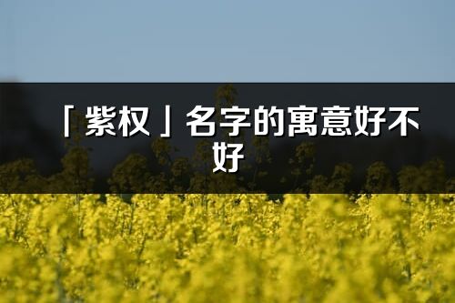 「紫权」名字的寓意好不好_紫权含义分析